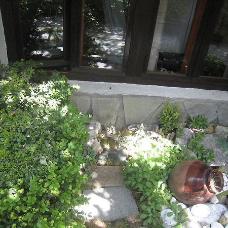 Guest House Voyno ドブリニシュテ エクステリア 写真