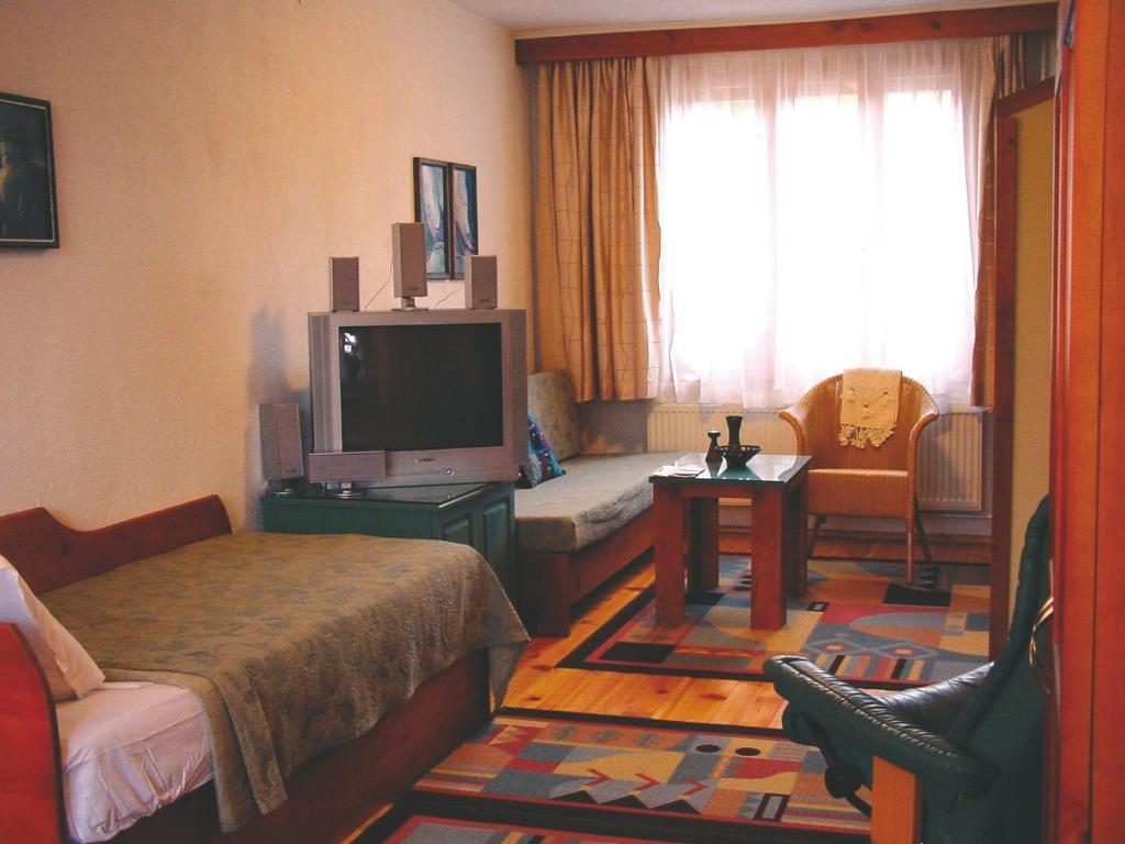 Guest House Voyno ドブリニシュテ 部屋 写真