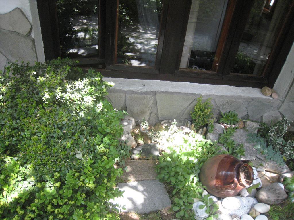 Guest House Voyno ドブリニシュテ エクステリア 写真