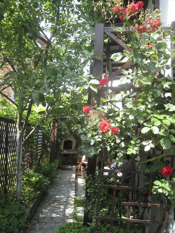 Guest House Voyno ドブリニシュテ エクステリア 写真